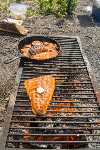 127_BBFFGA_2016_0171