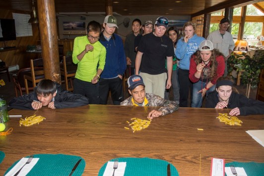 223_BBFFGA_2016_0320