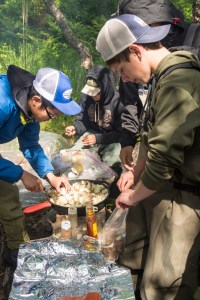 294_BBFFGA_2016_0445