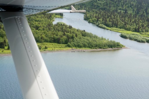 443_BBFFGA_2016_0768